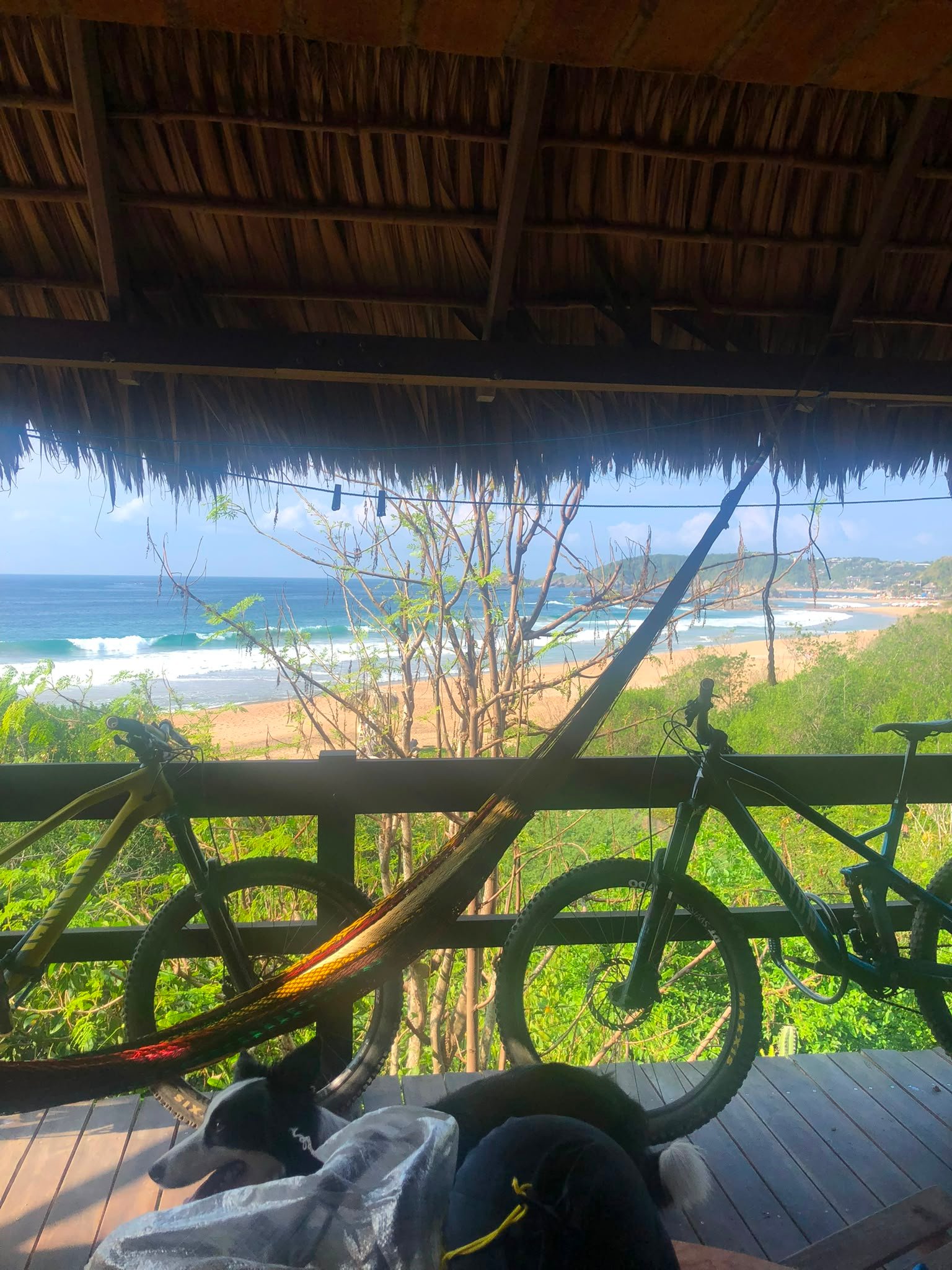 Bici de Ruta en Veracruz — foto 4